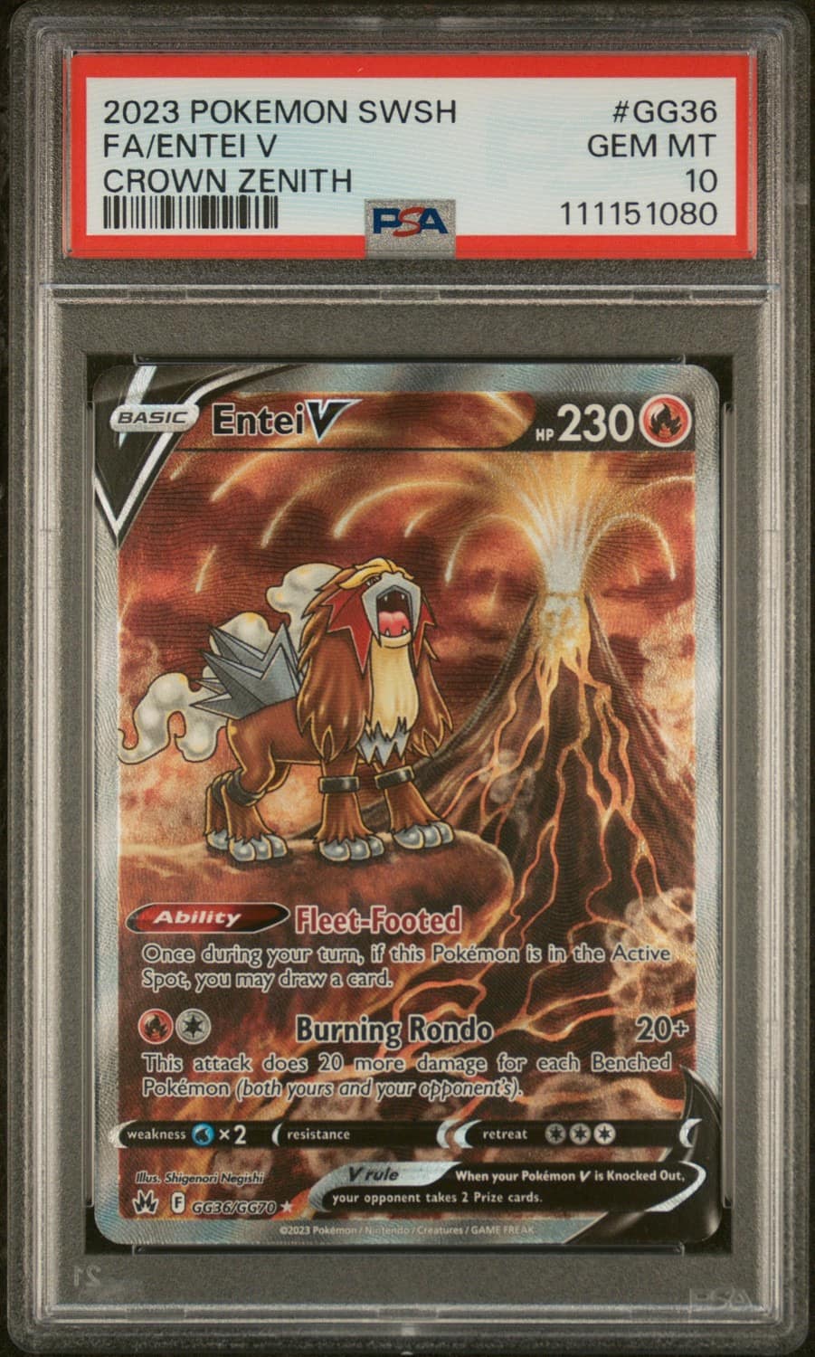 Entei V