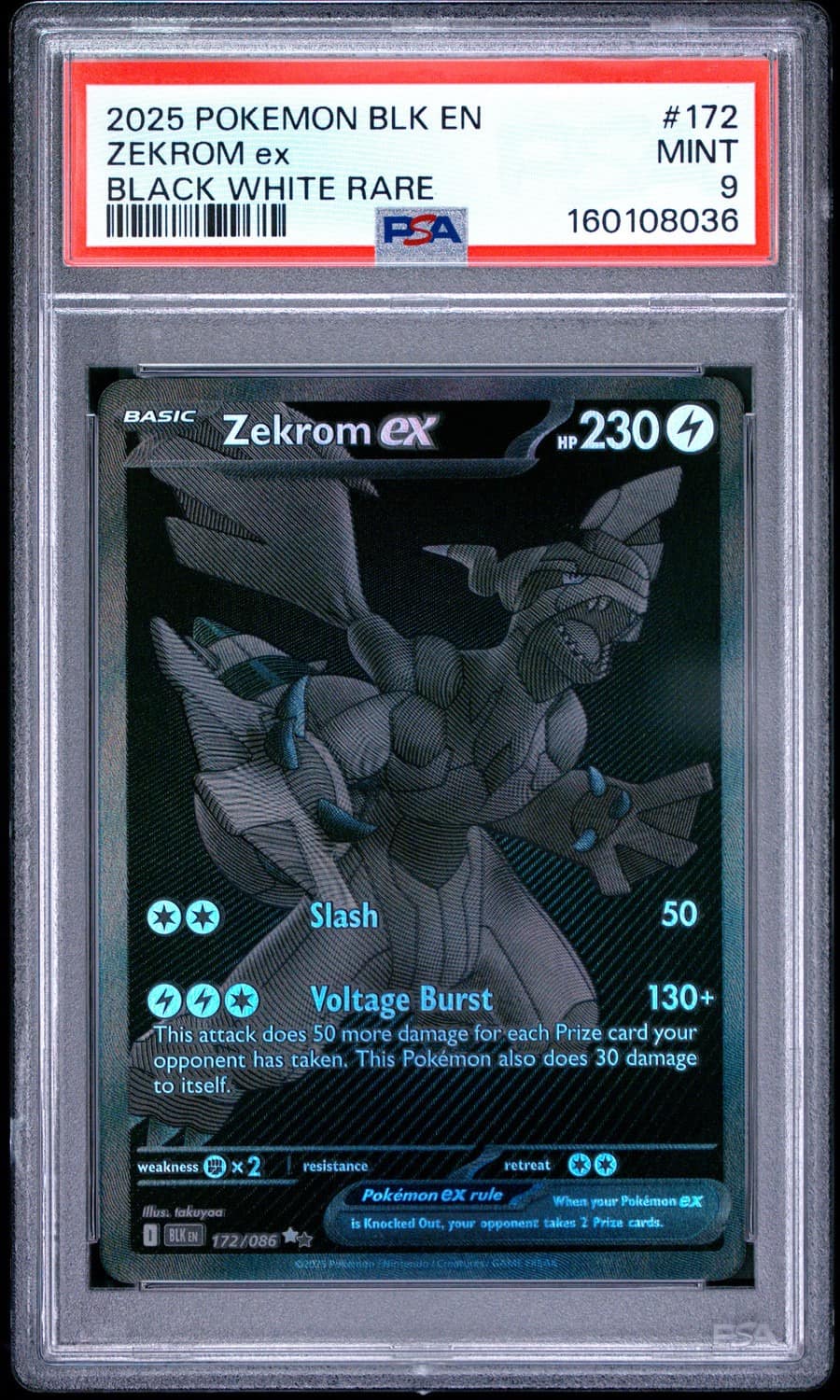 Zekrom Ex