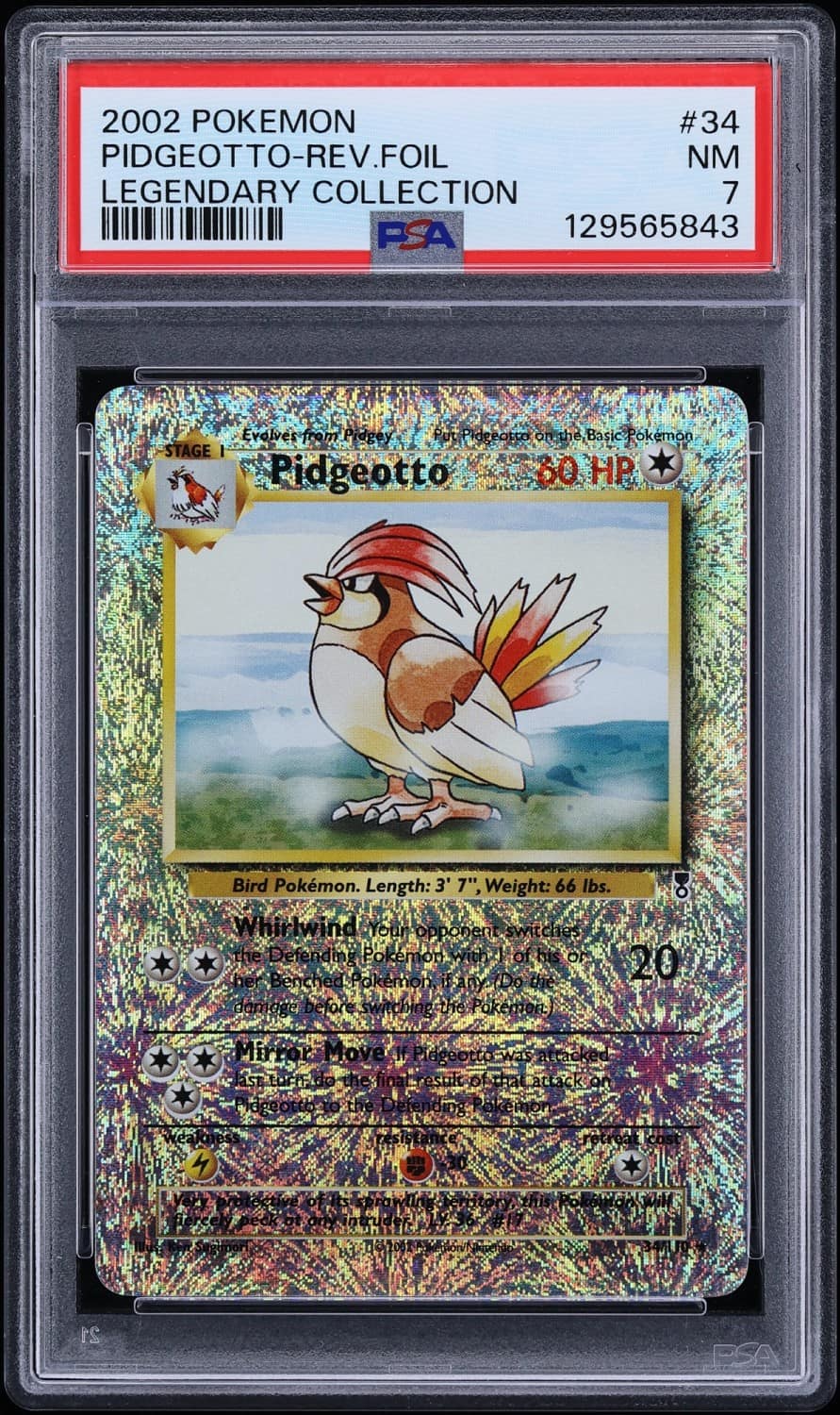 Pidgeotto
