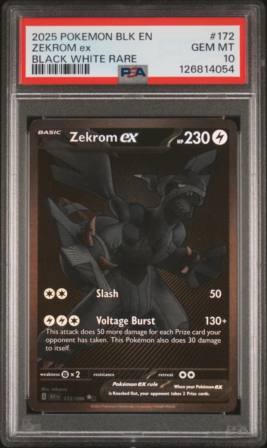 Zekrom Ex