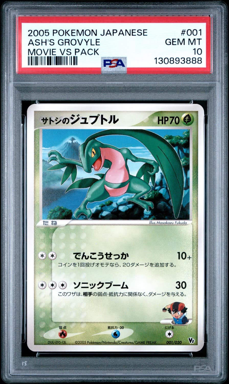Ash'S Grovyle