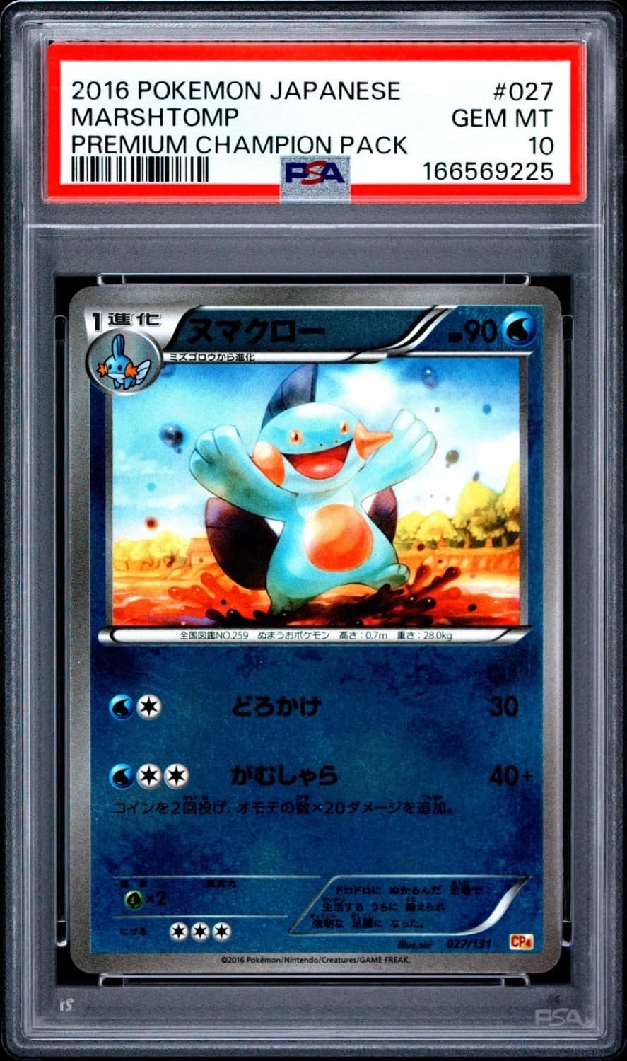 Marshtomp