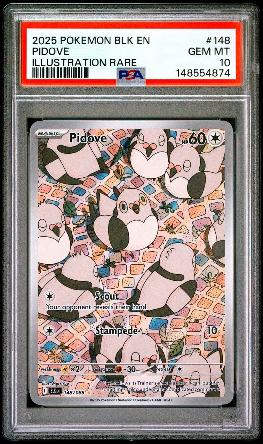 Pidove