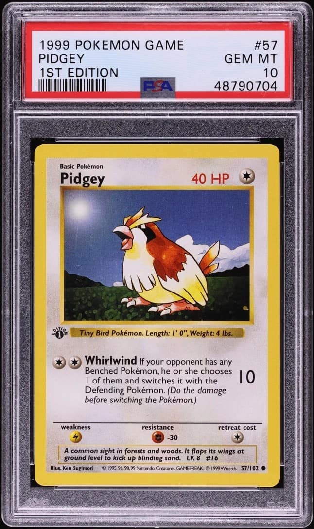 Pidgey