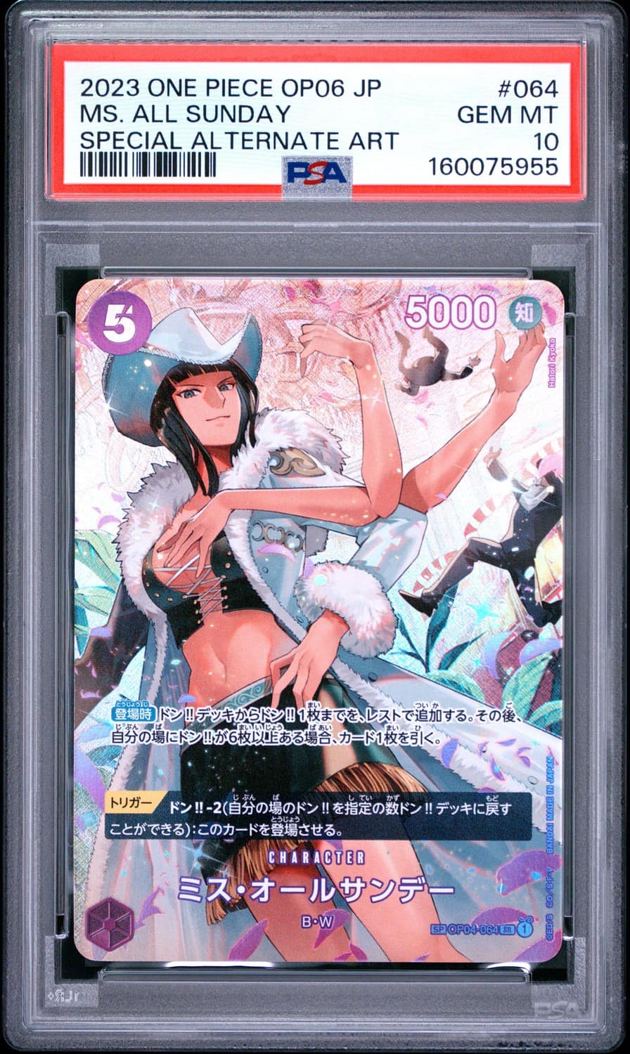 Ms. All Sunday Foil Sp