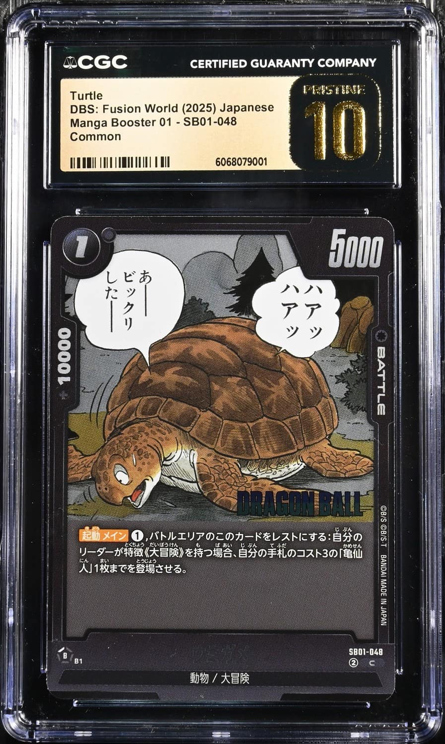 Turtle