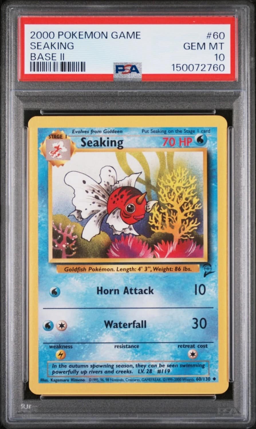 Seaking