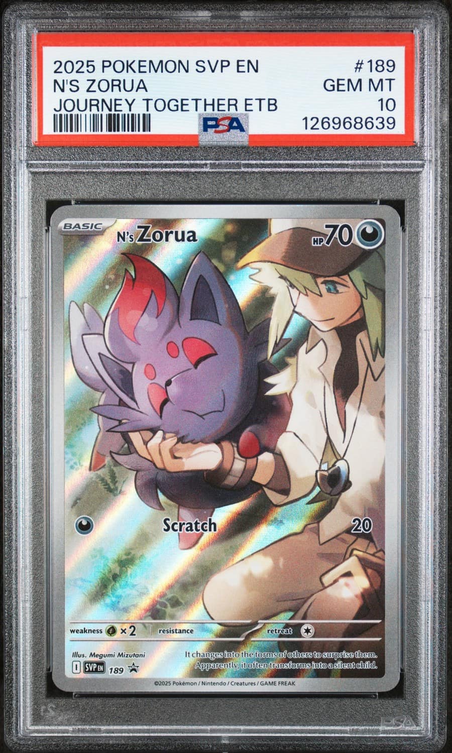 N'S Zorua