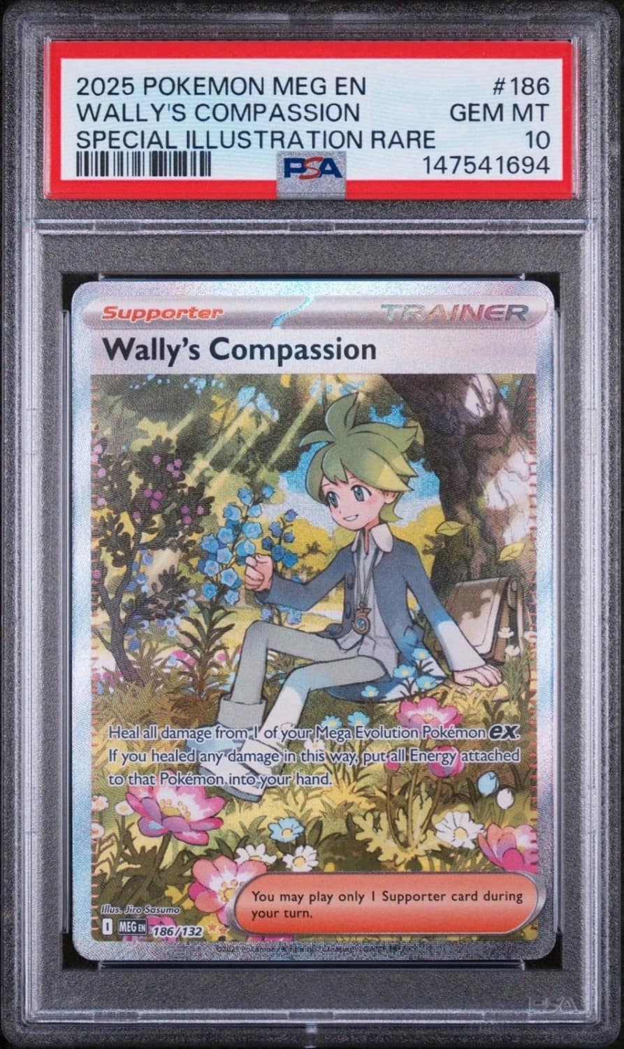 Wally'S Compassion