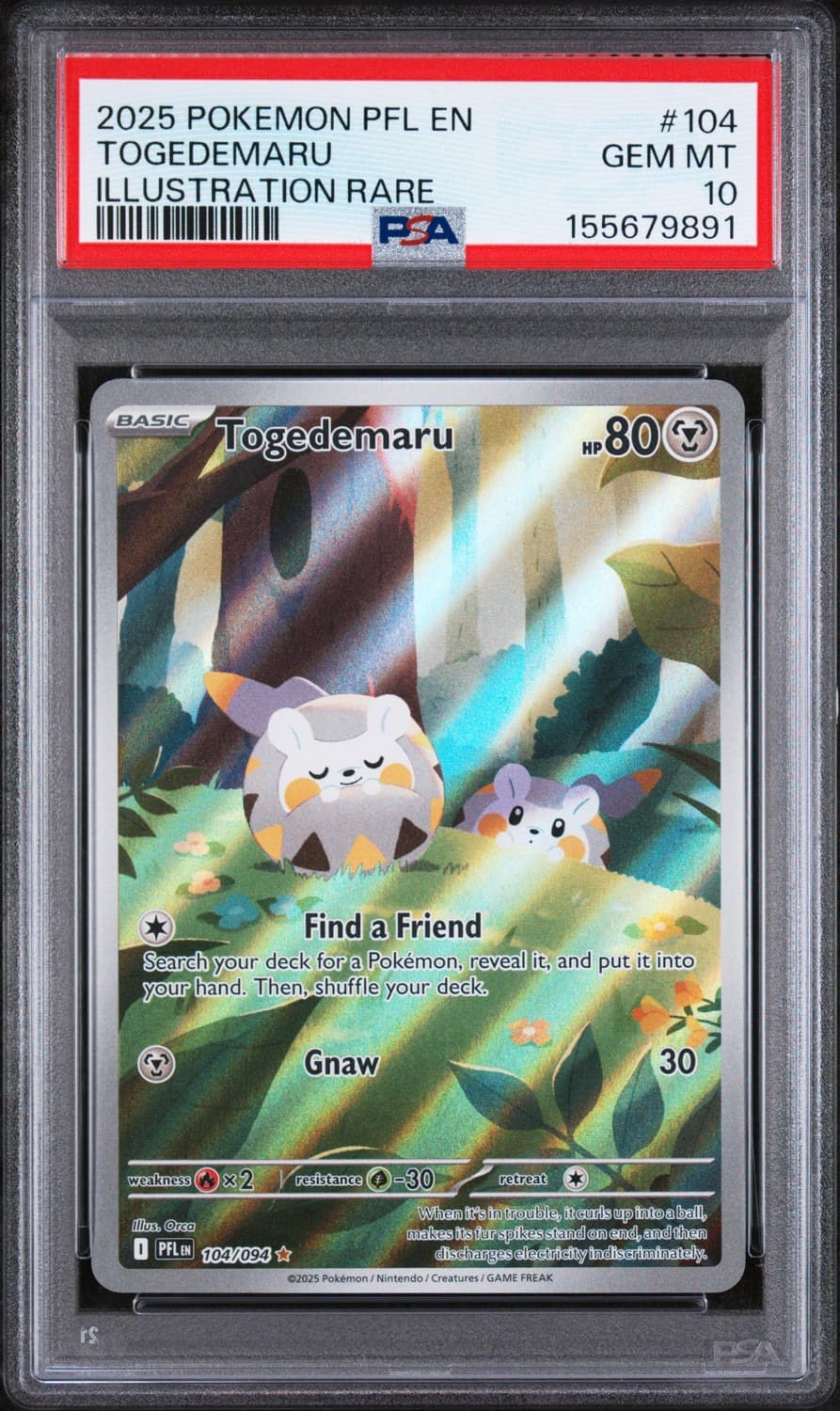 Togedemaru