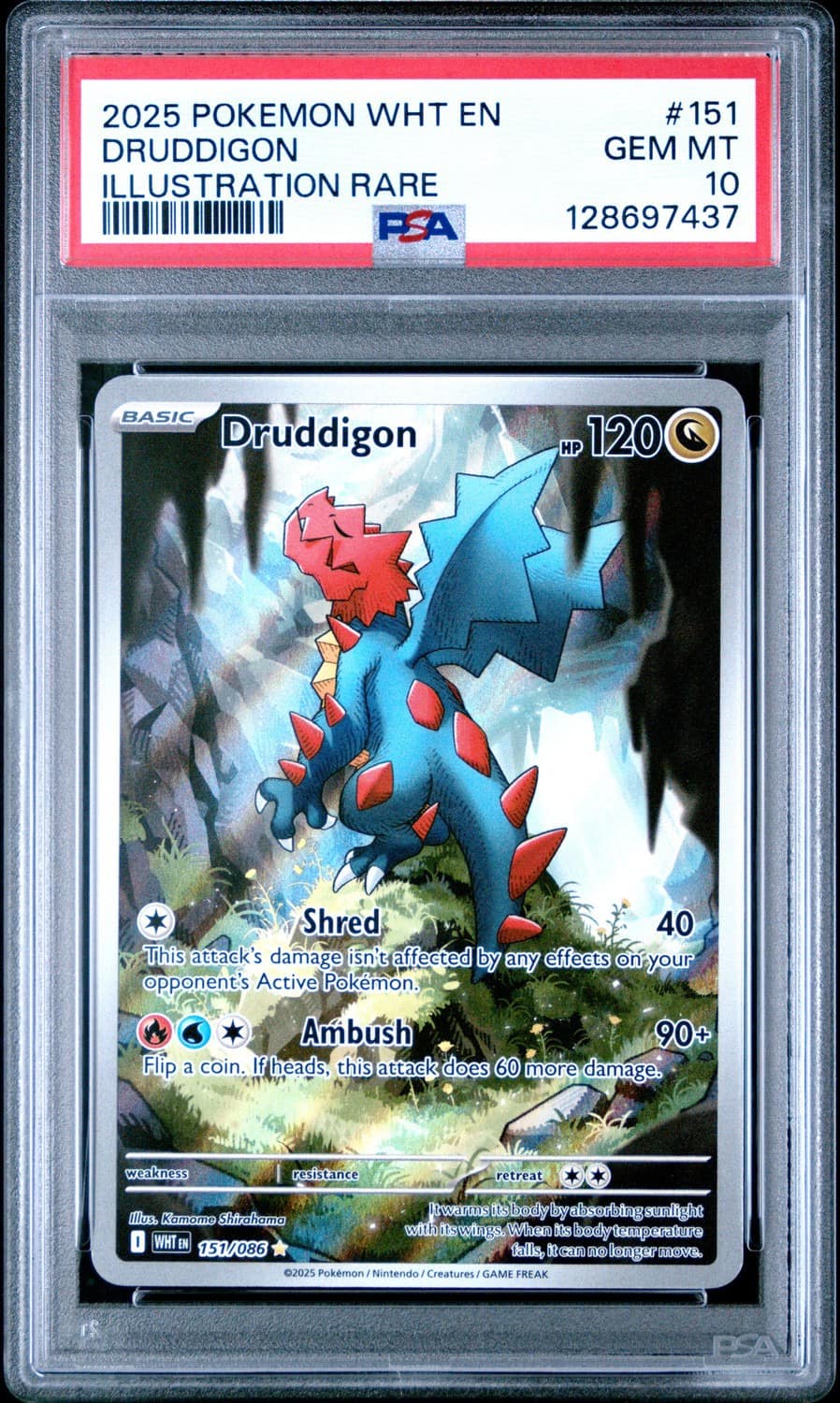 Druddigon