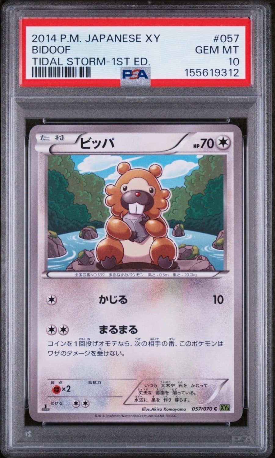 Bidoof