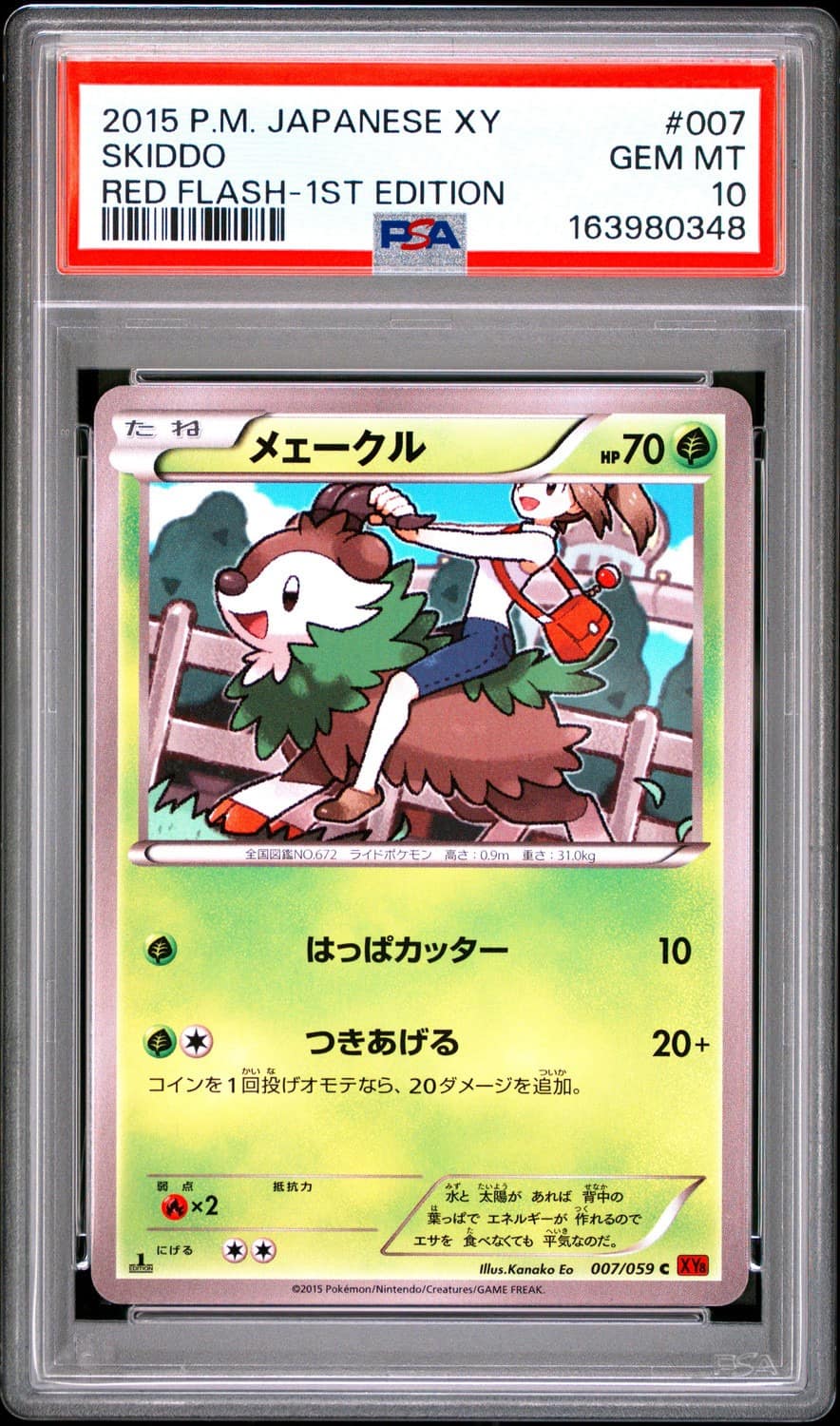 Skiddo