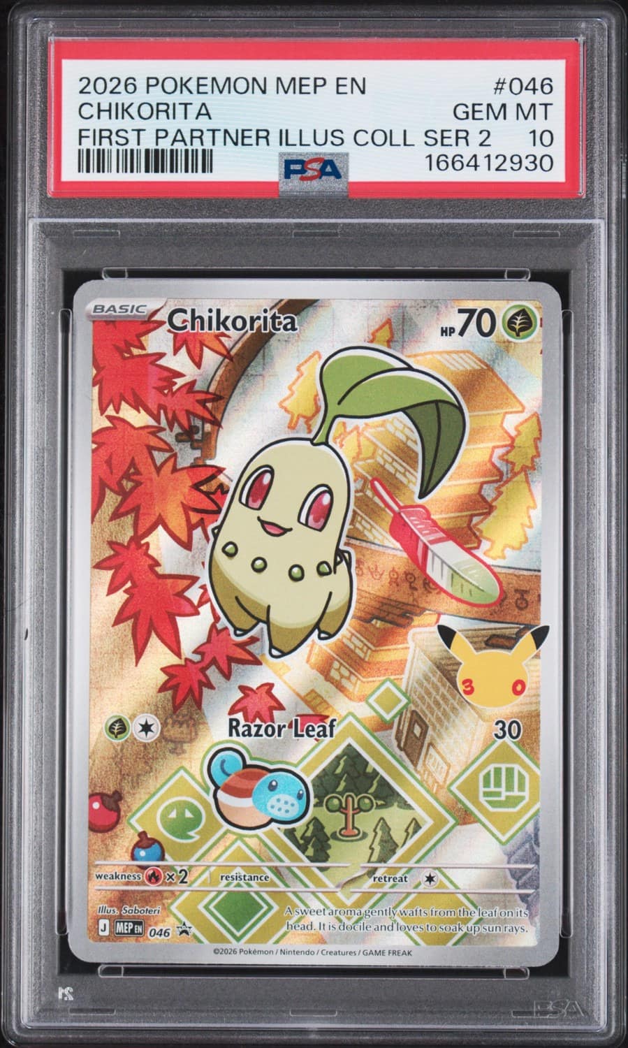 Chikorita