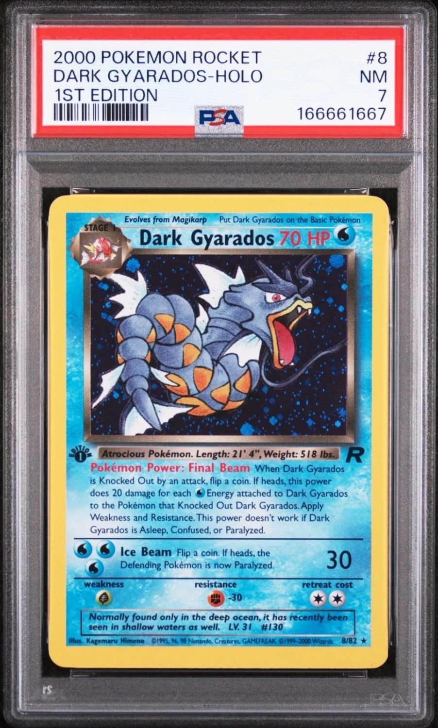 Dark Gyarados