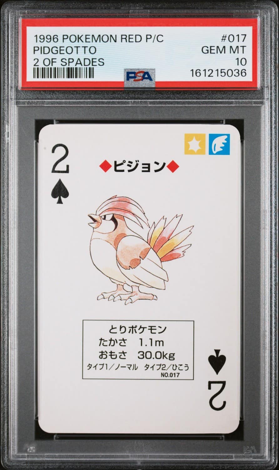 Pidgeotto