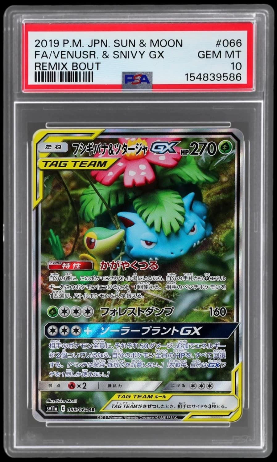 Venusaur & Snivy Gx