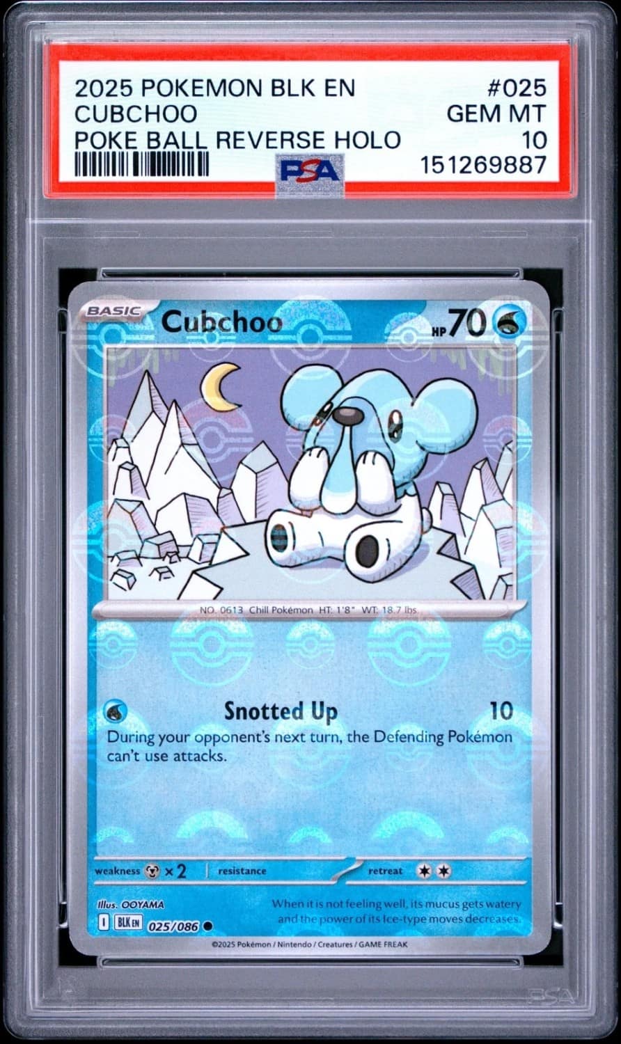 Cubchoo
