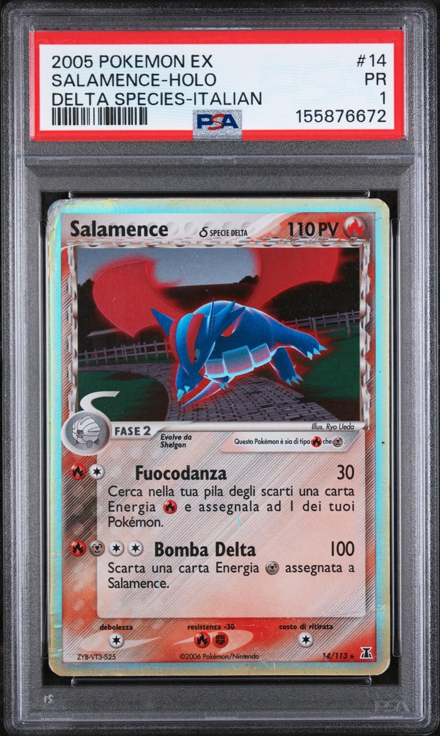 Salamence