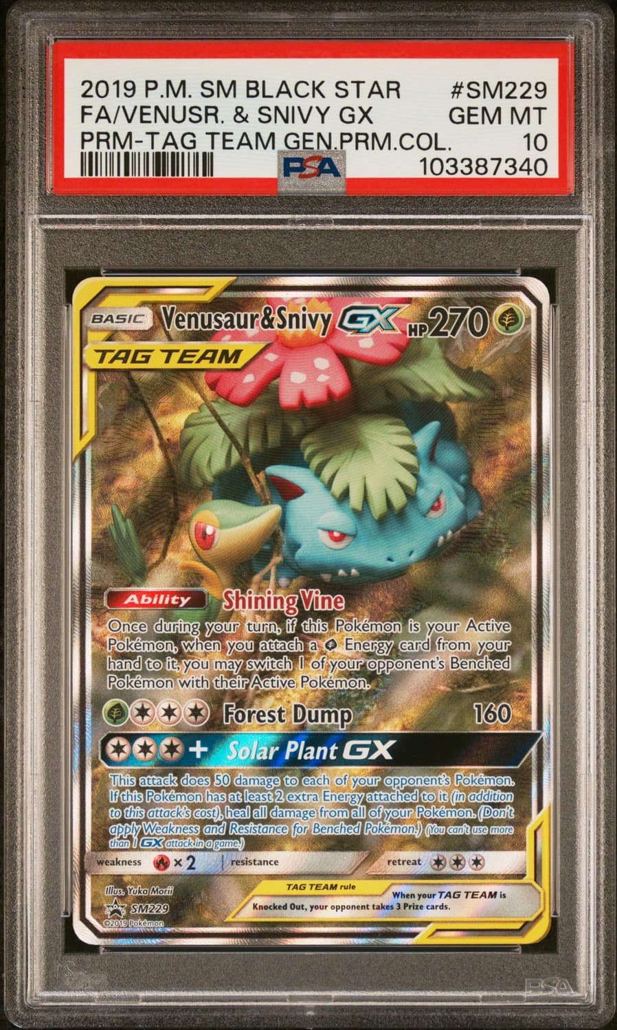 Venusaur & Snivy Gx