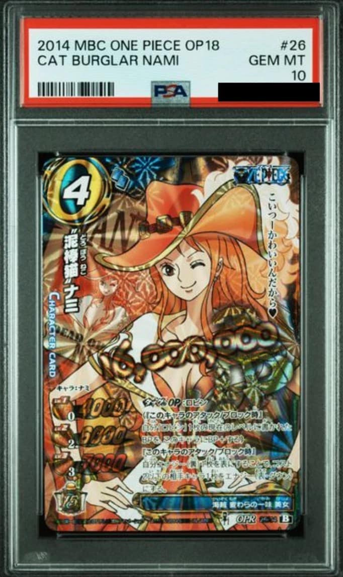 Cat Burglar Nami