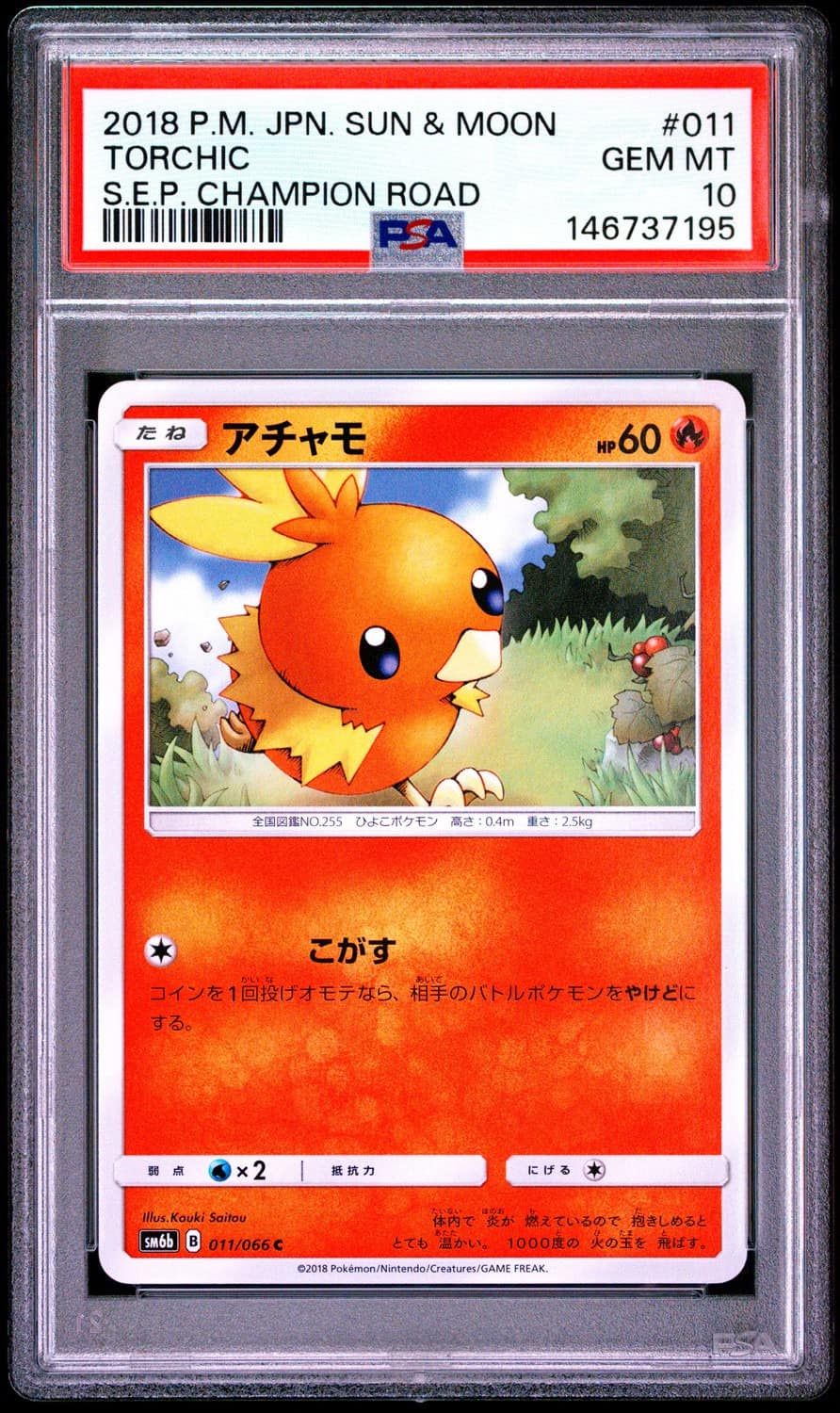 Torchic