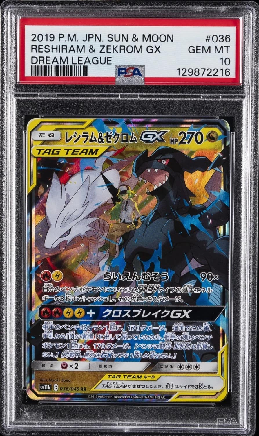 Reshiram & Zekrom Gx