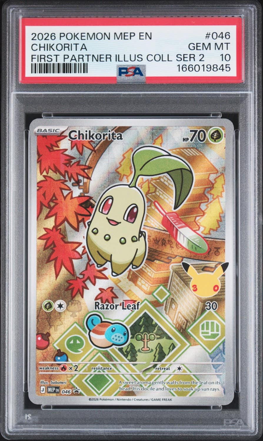 Chikorita