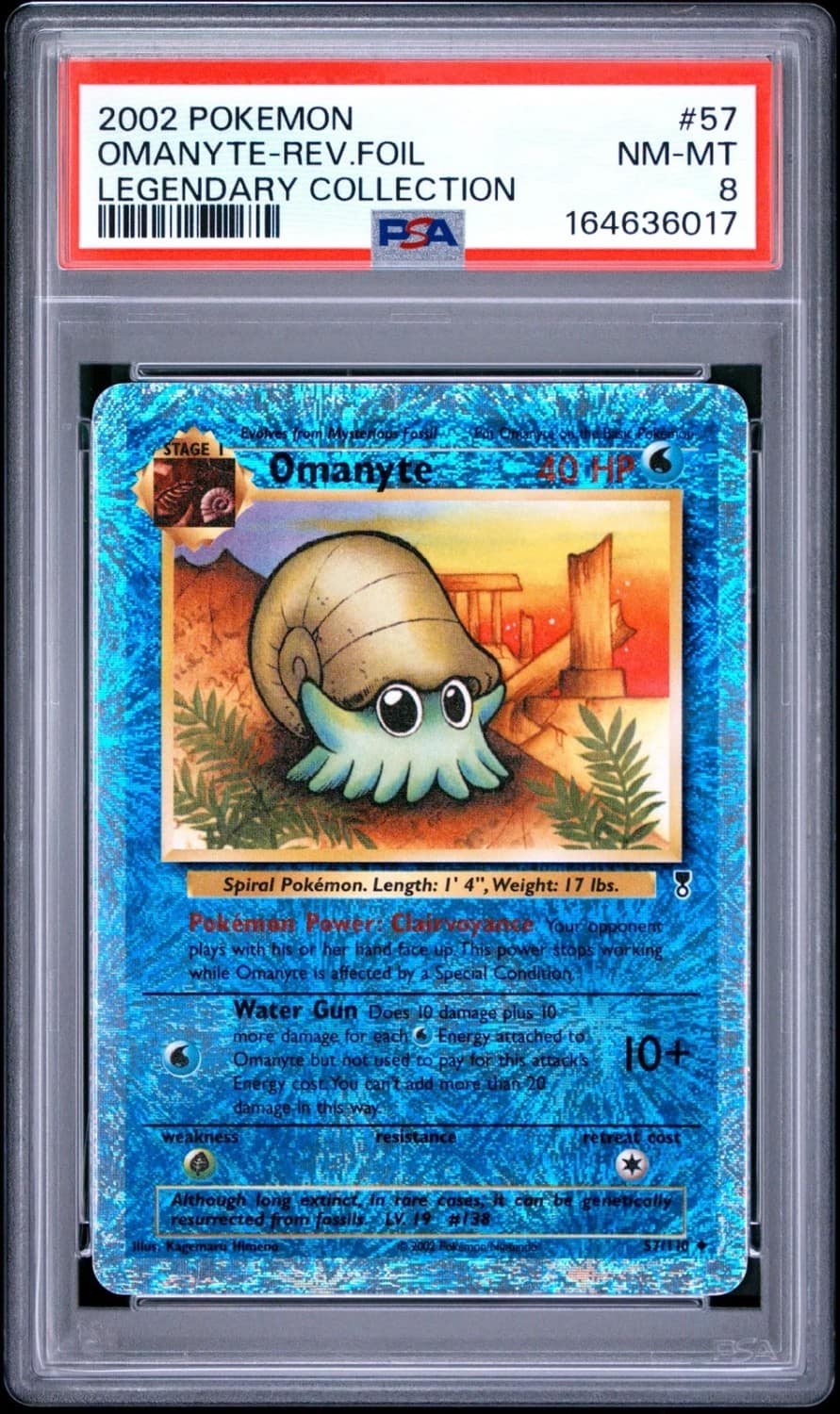 Omanyte