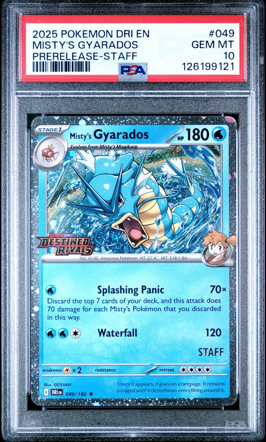 Misty'S Gyarados