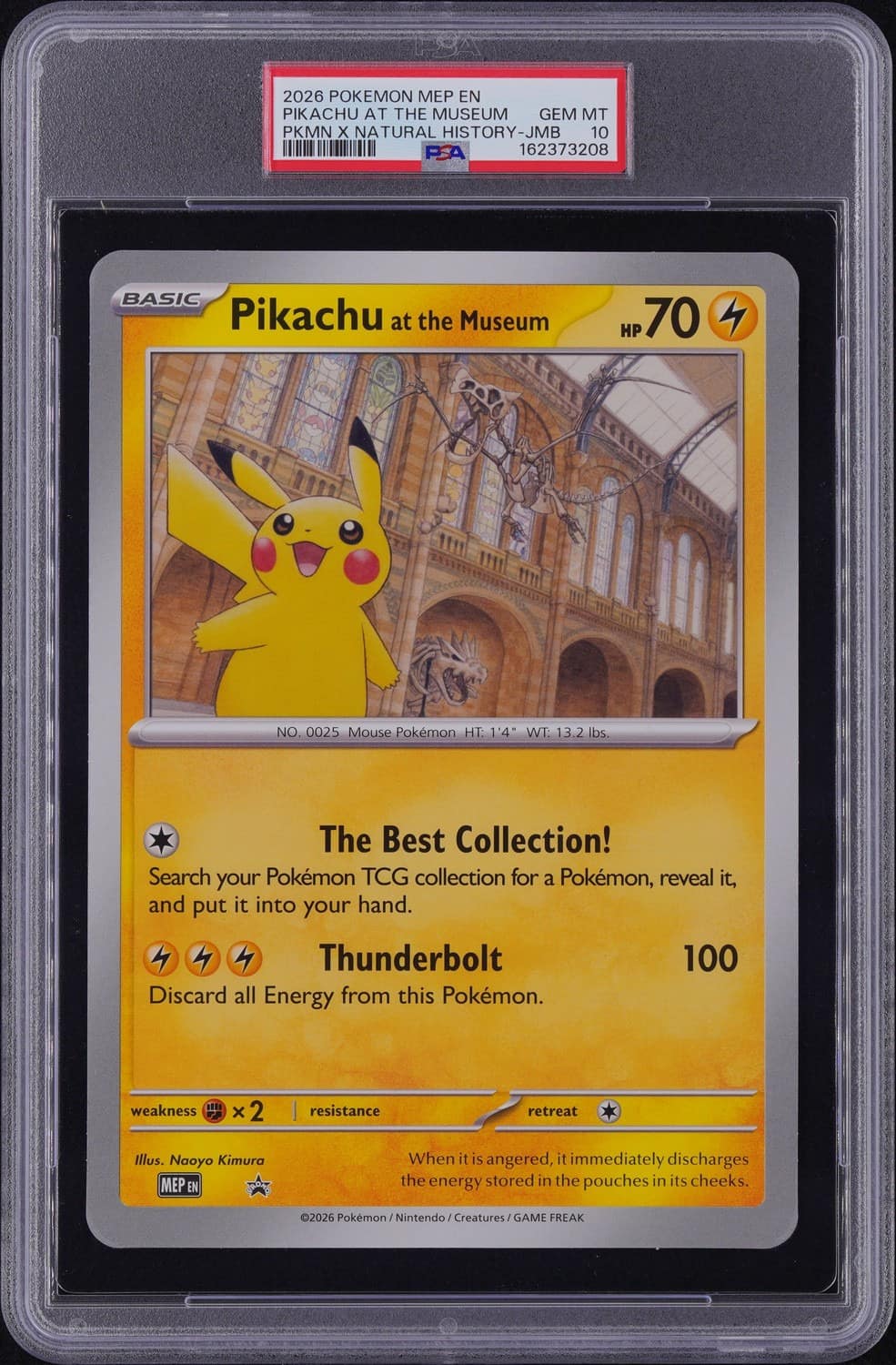 Pikachu At The Museum