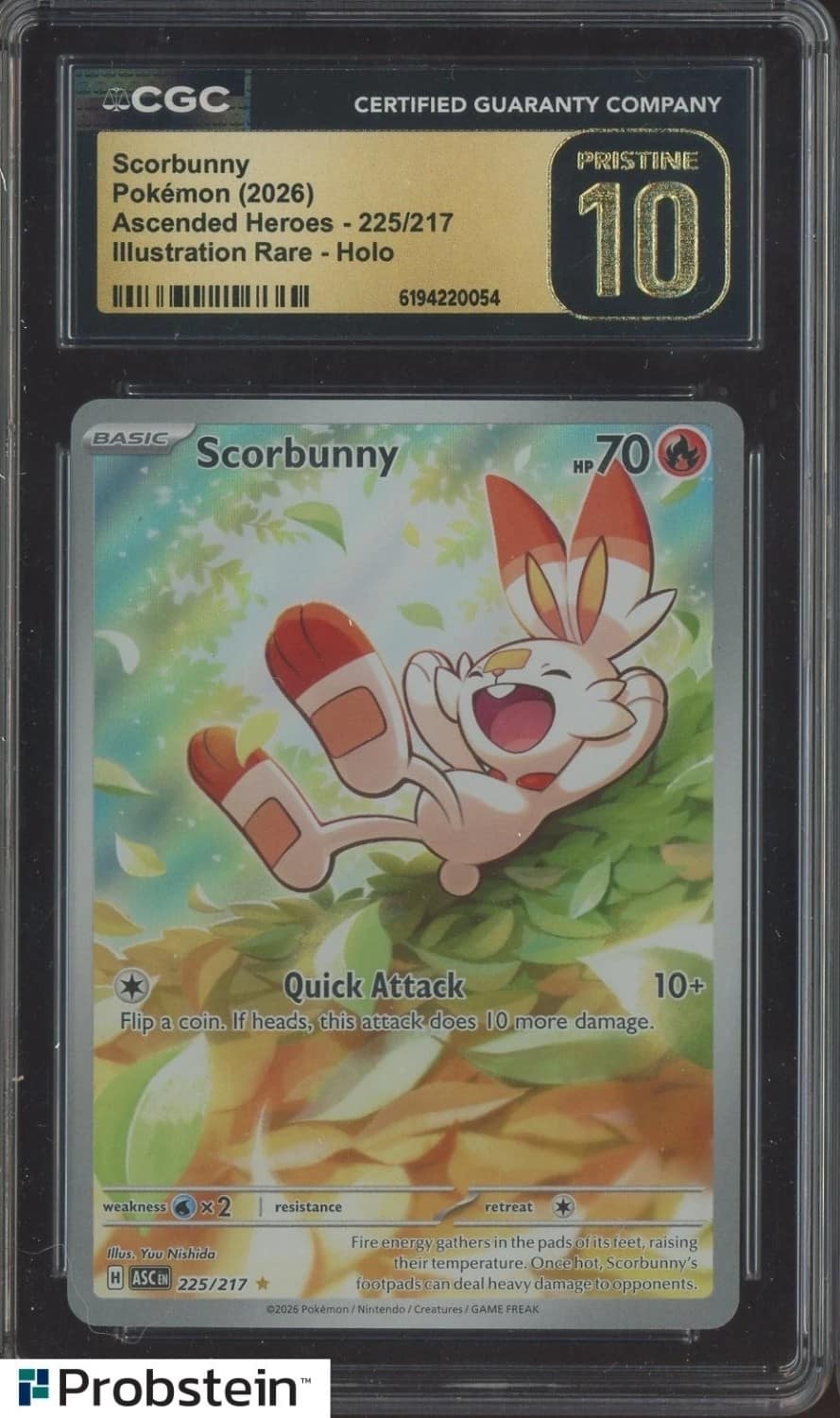Scorbunny
