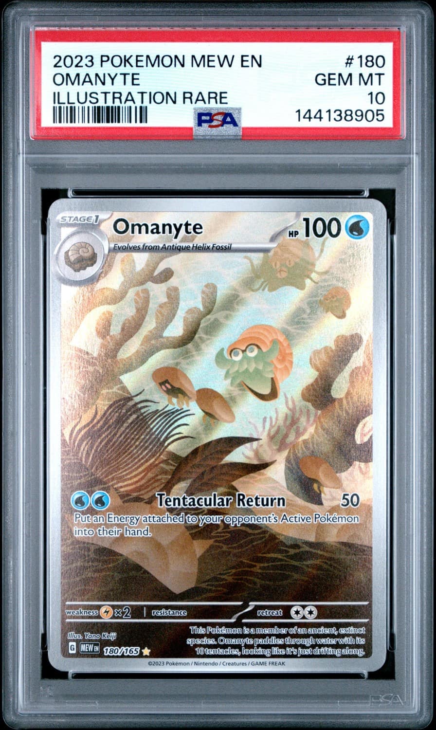 Omanyte