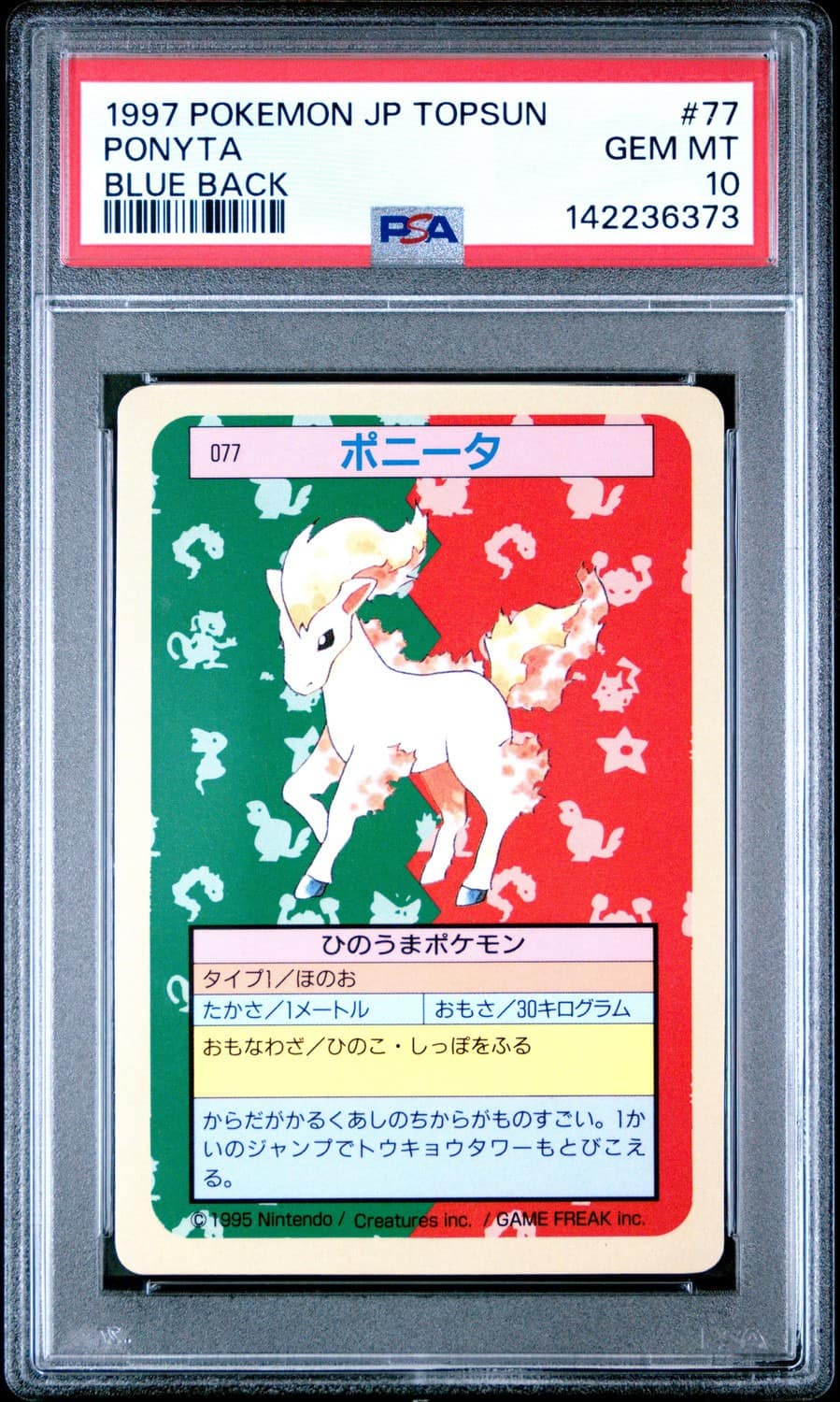 Ponyta