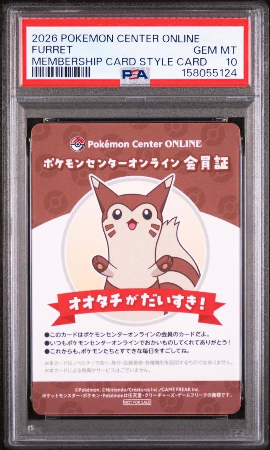 Furret