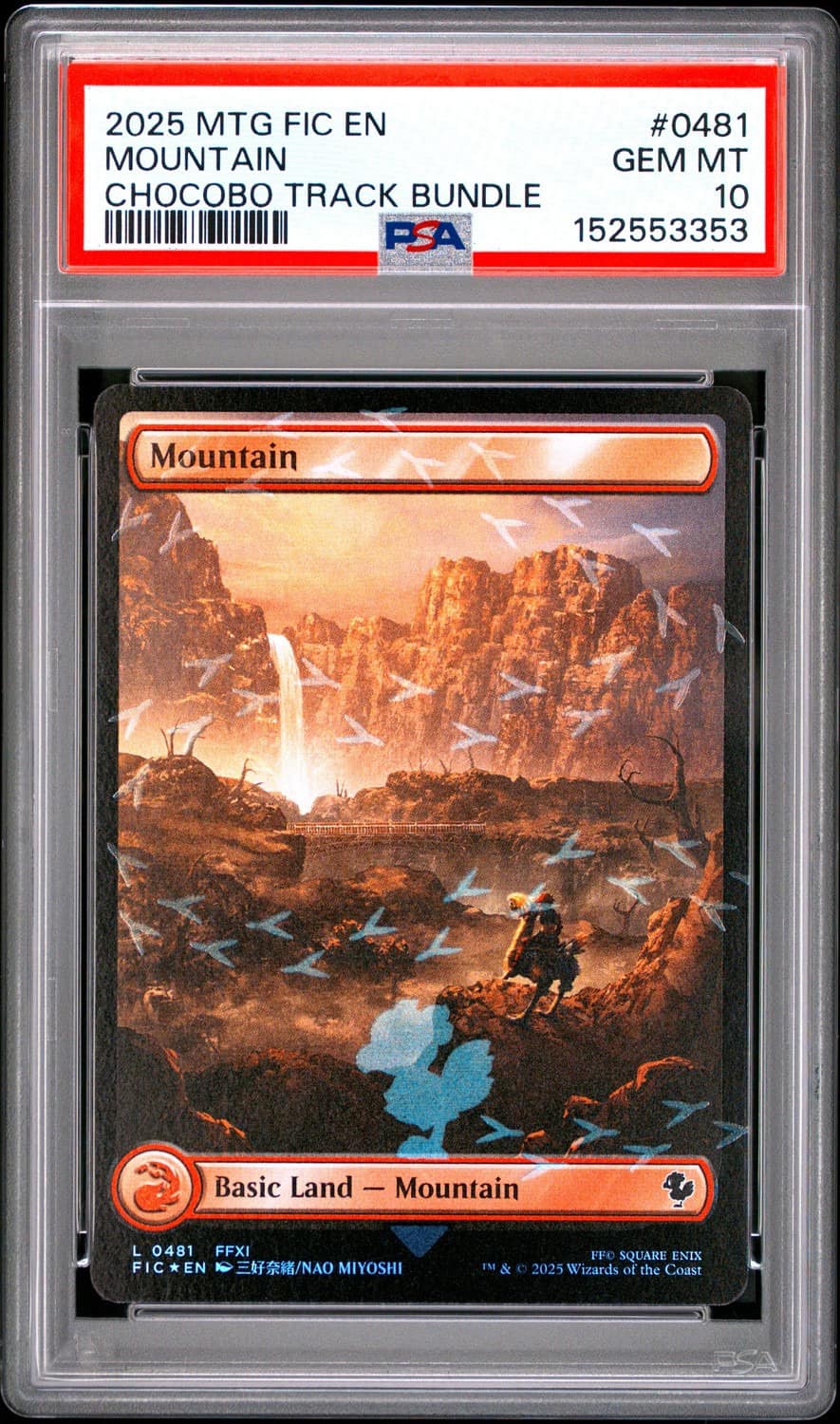 Mountain
