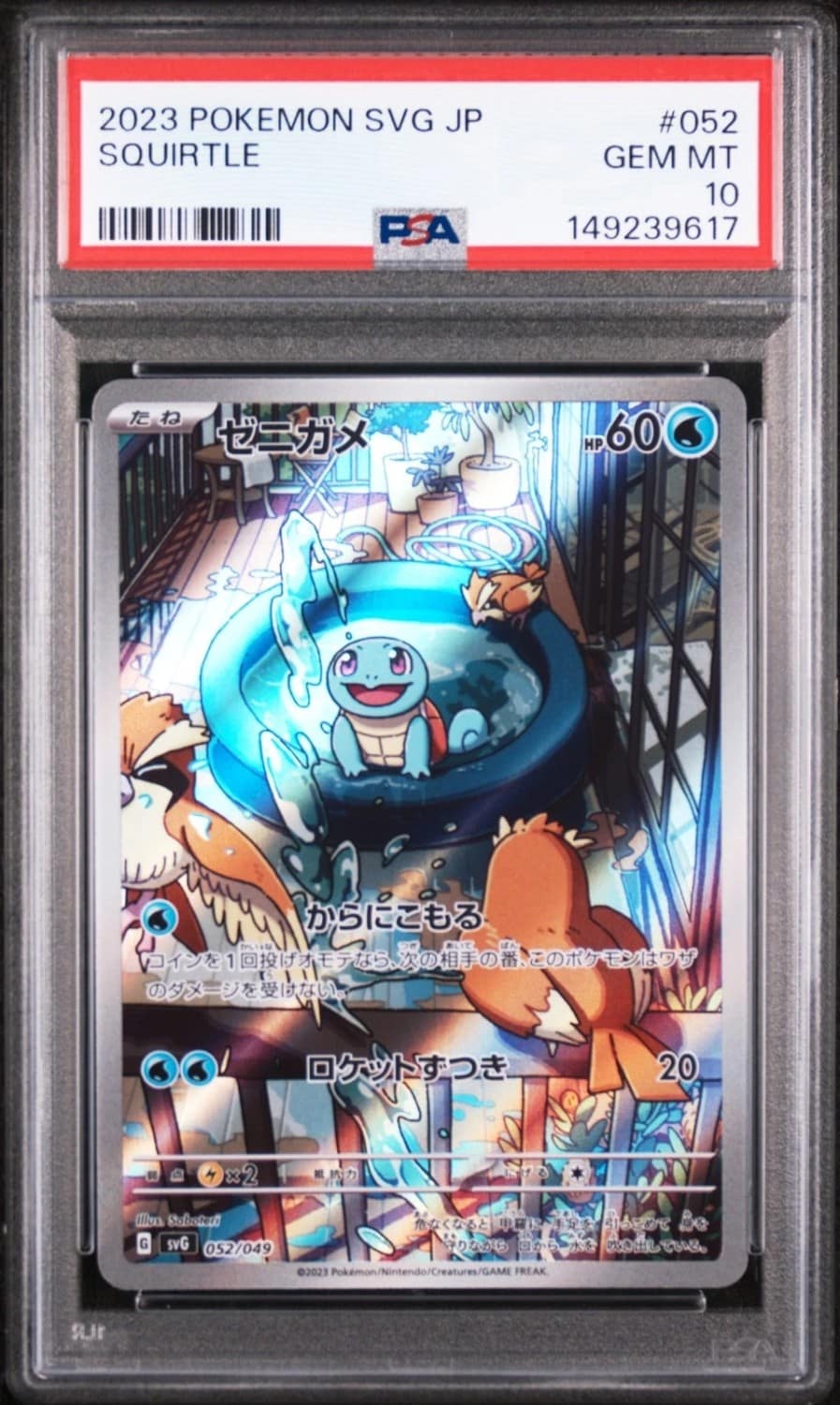 Squirtle