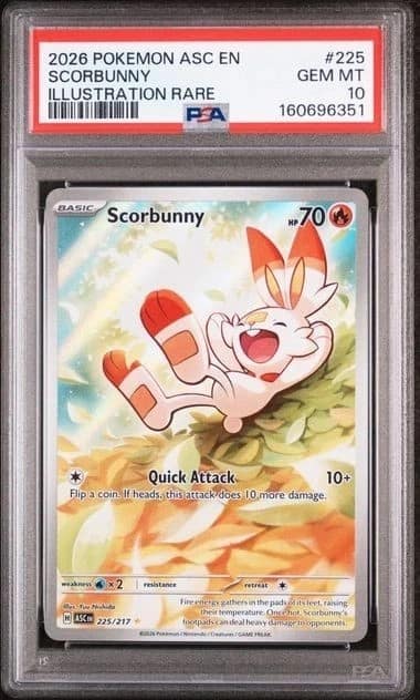 Scorbunny