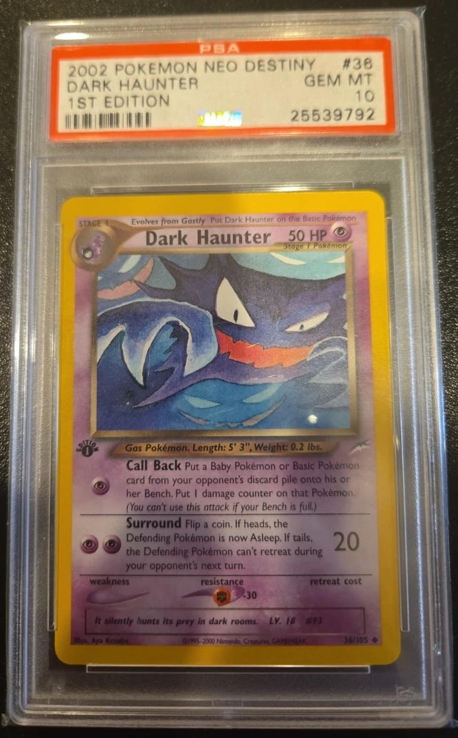Dark Haunter