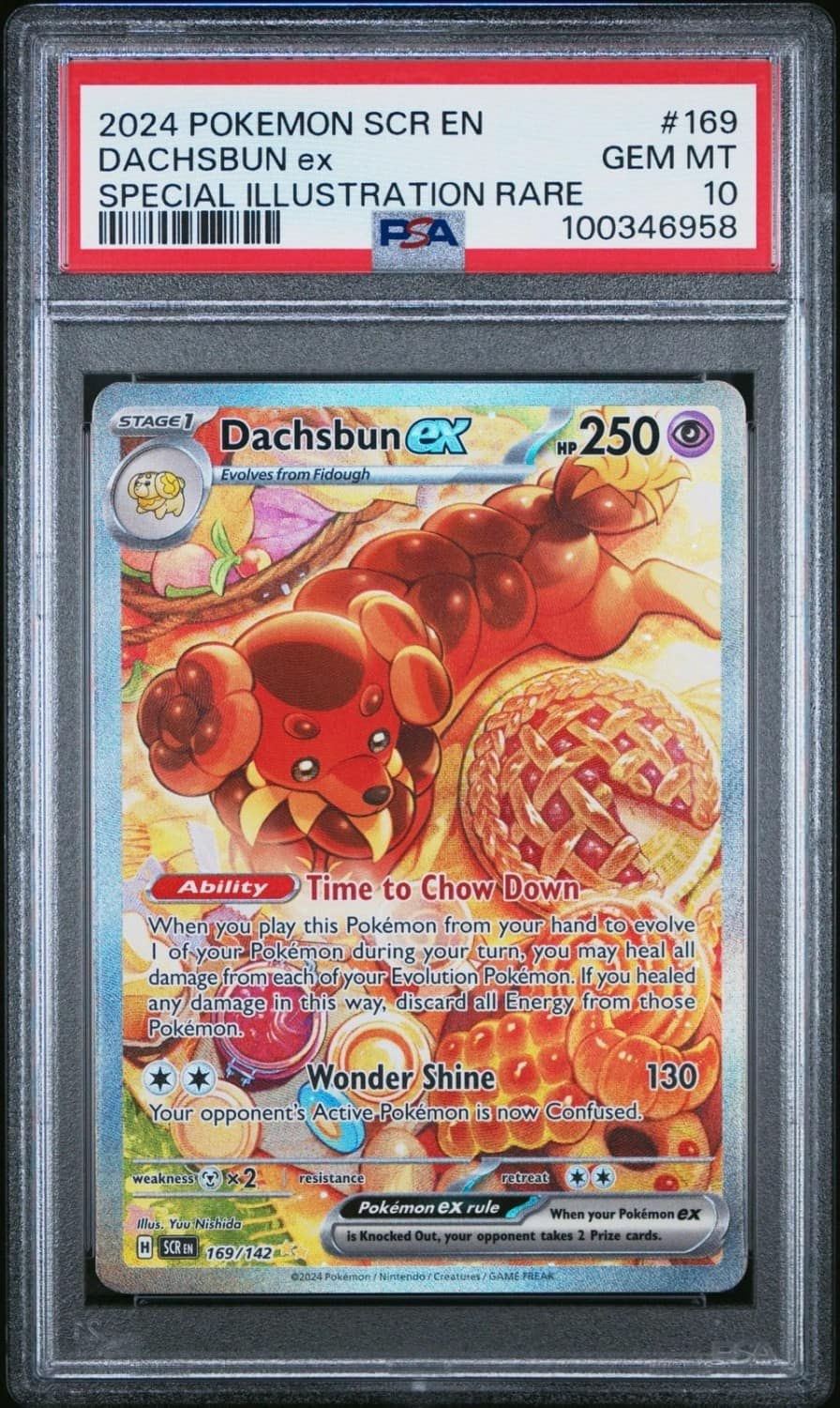Dachsbun Ex