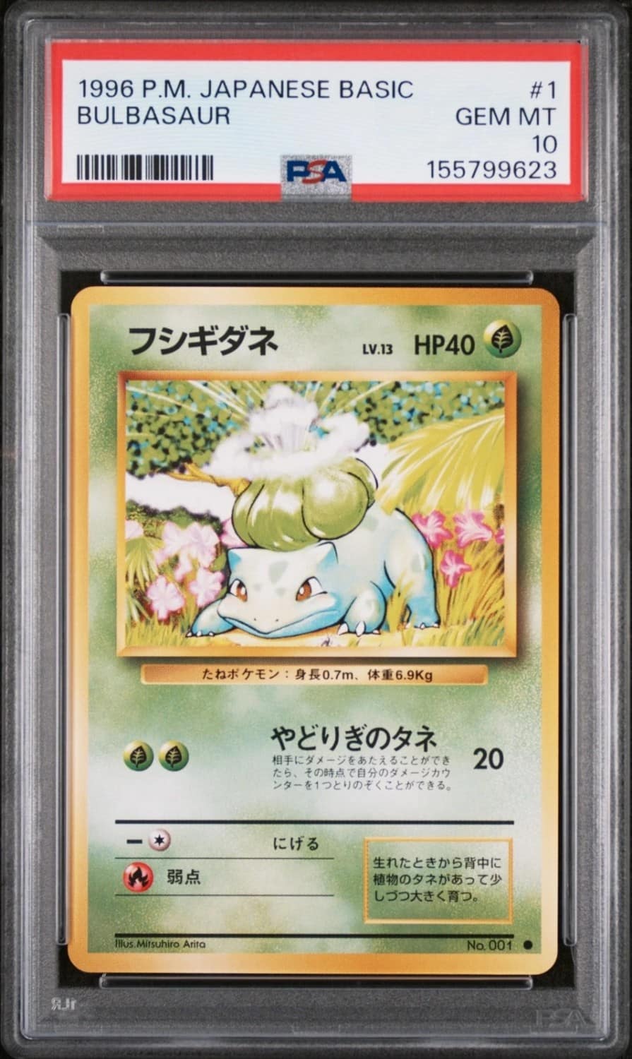 Bulbasaur