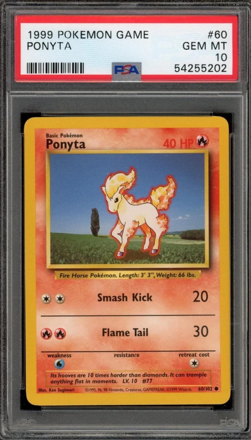 Ponyta