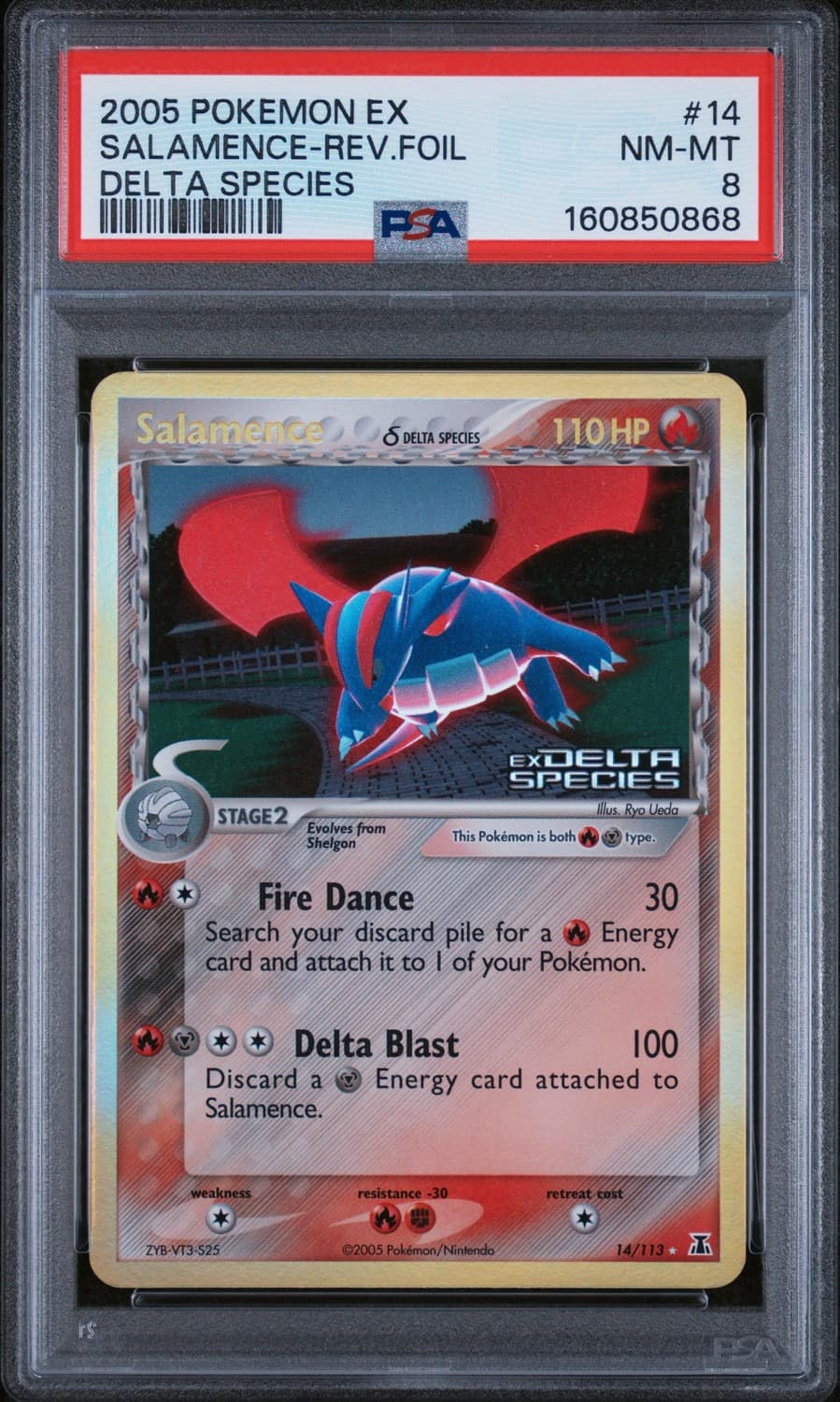 Salamence