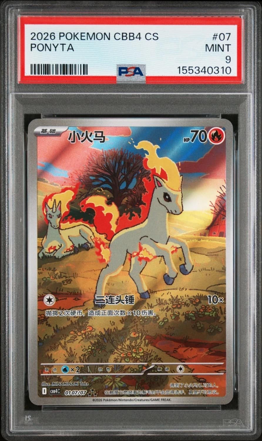 Ponyta
