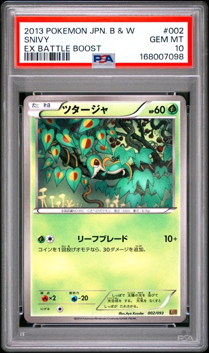 Snivy