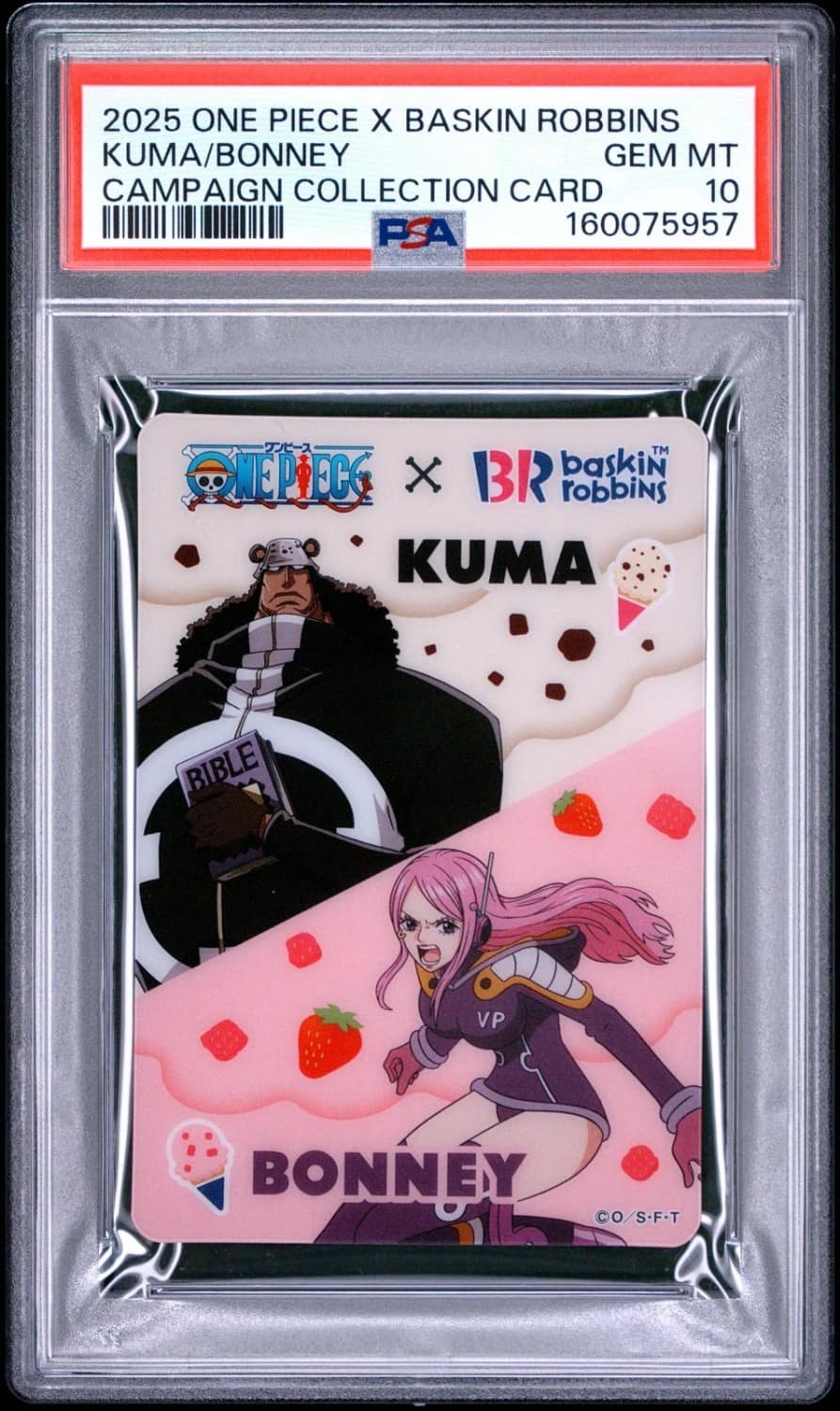Kuma/bonney