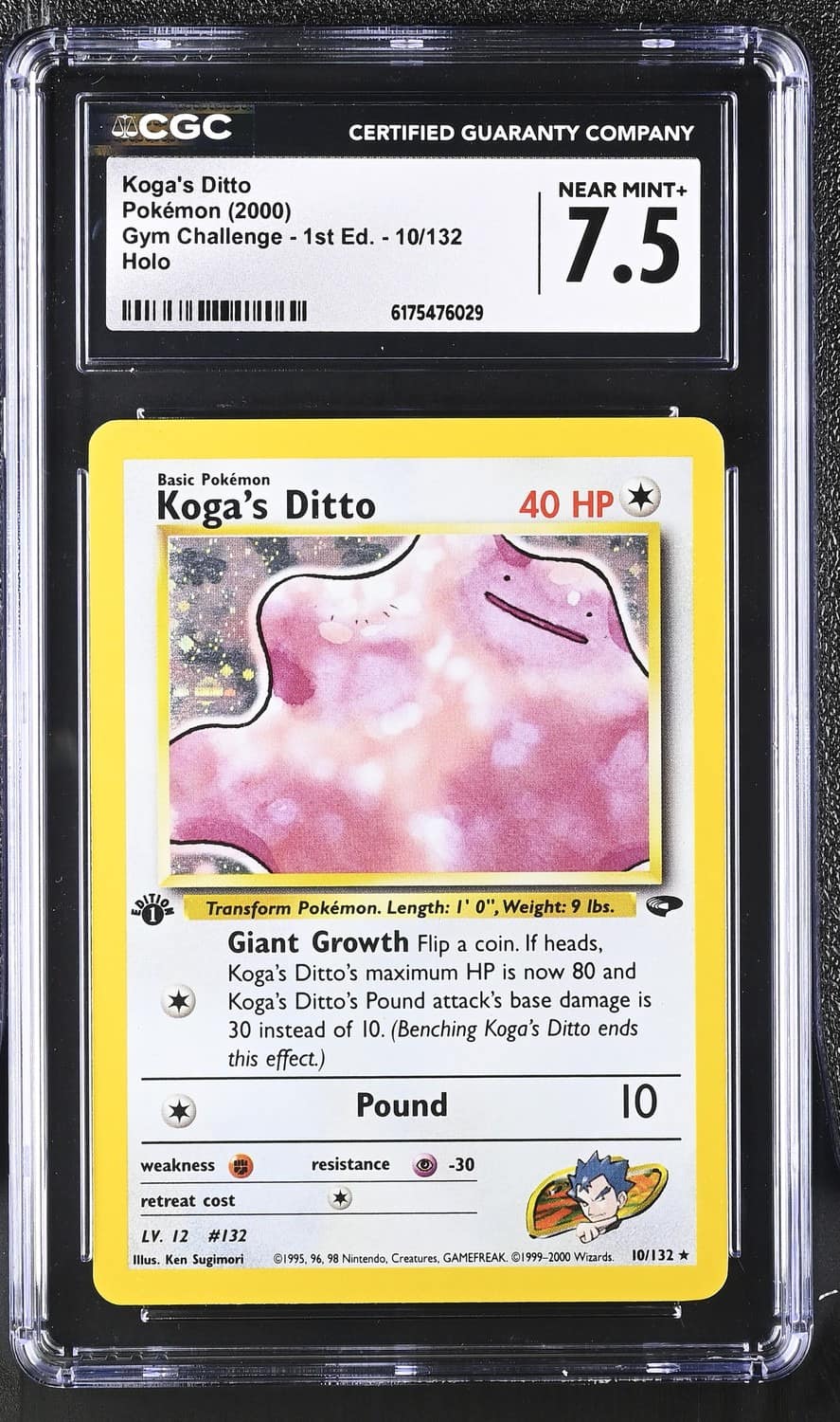 Koga'S Ditto