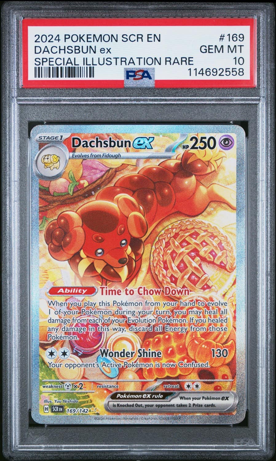 Dachsbun Ex