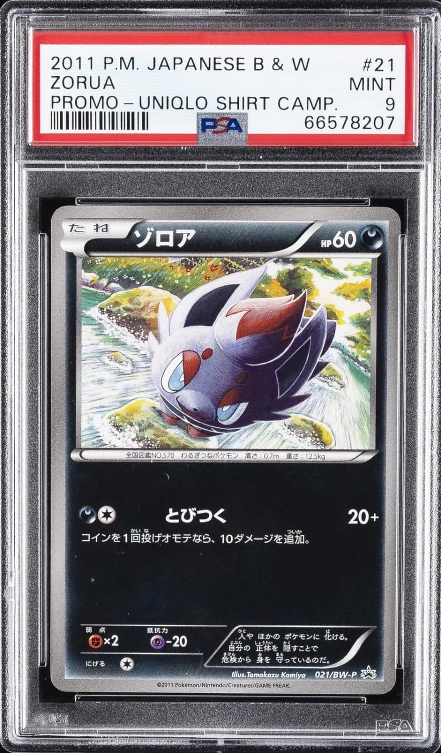 Zorua