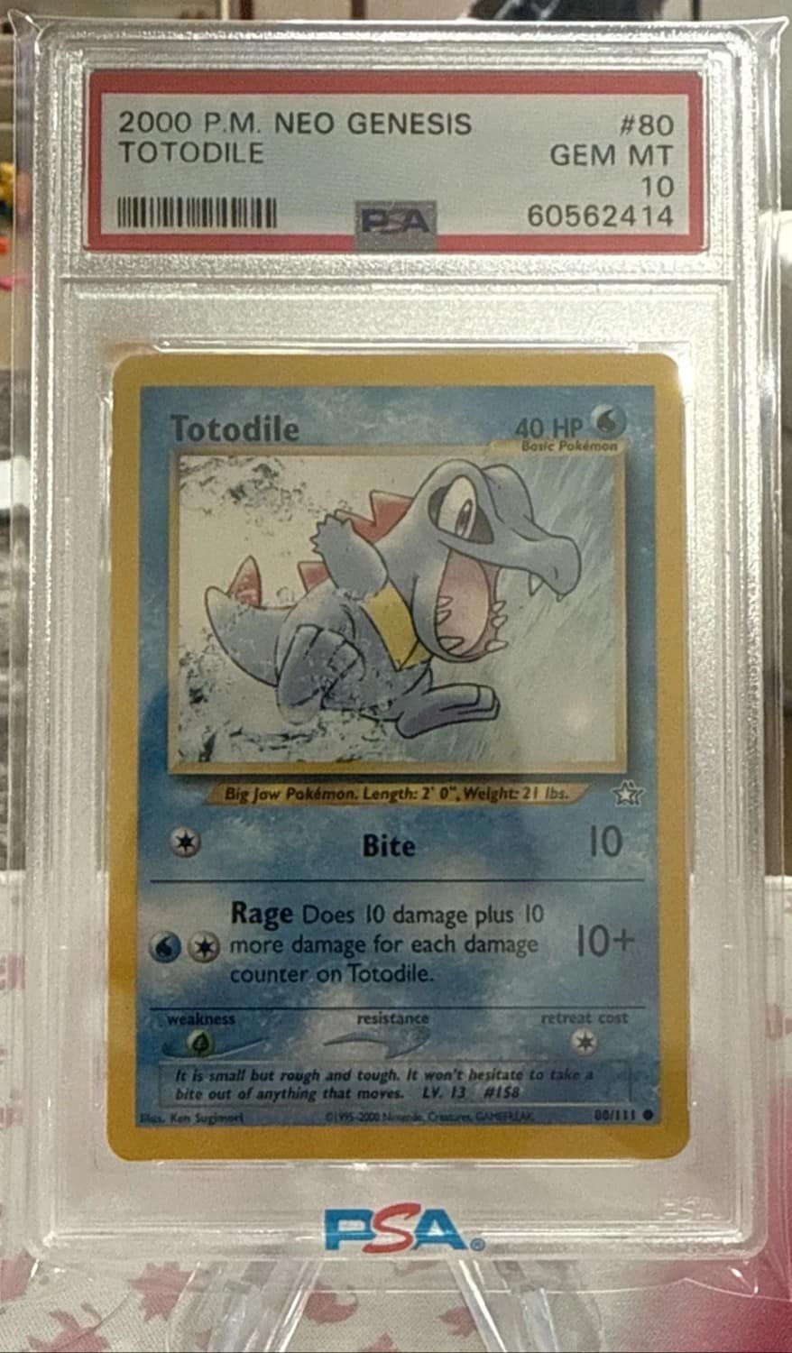 Totodile